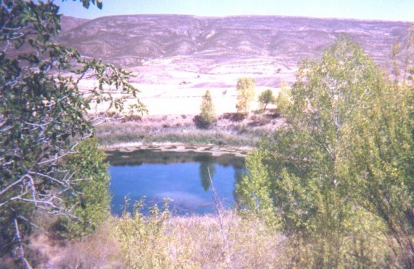 Le Pardos Eye