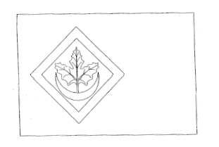 Flag municipal of Alarba