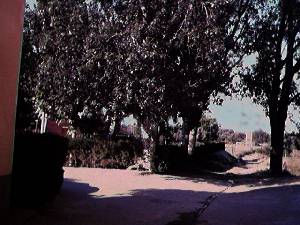 Parque de Novillas