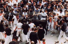 Teruel. Toros